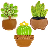 3pc Tropical Houseplants Cookies